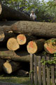 Click to see it big Impression aus dem Atelier